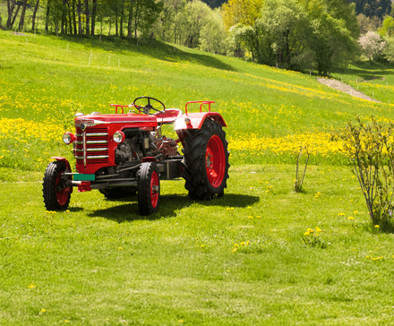 Traktor Lamborghini - historia marki