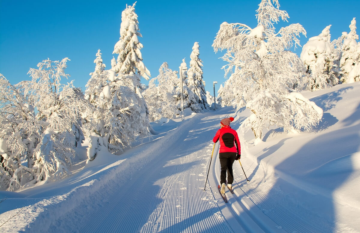 Szkolenie biegówkowe - Jakuszyce, Karkonosze