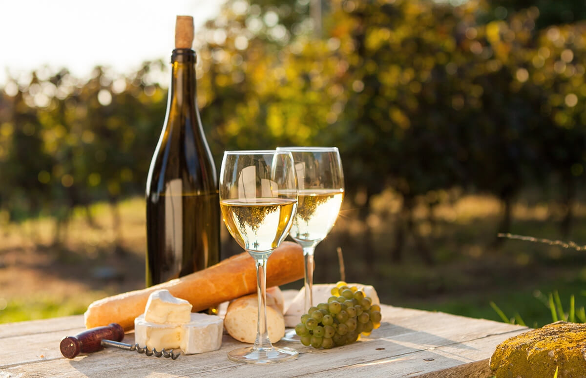 Degustacja wina w winnicy - Mazowsze