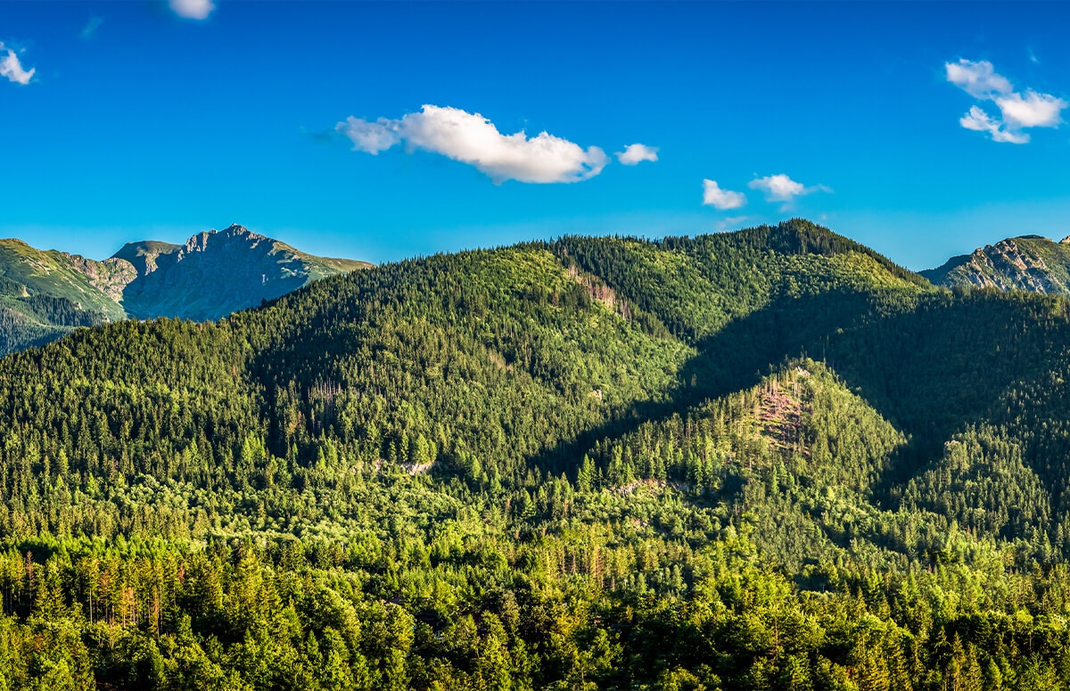 Tatry i zakopane- widokowy lot balonem