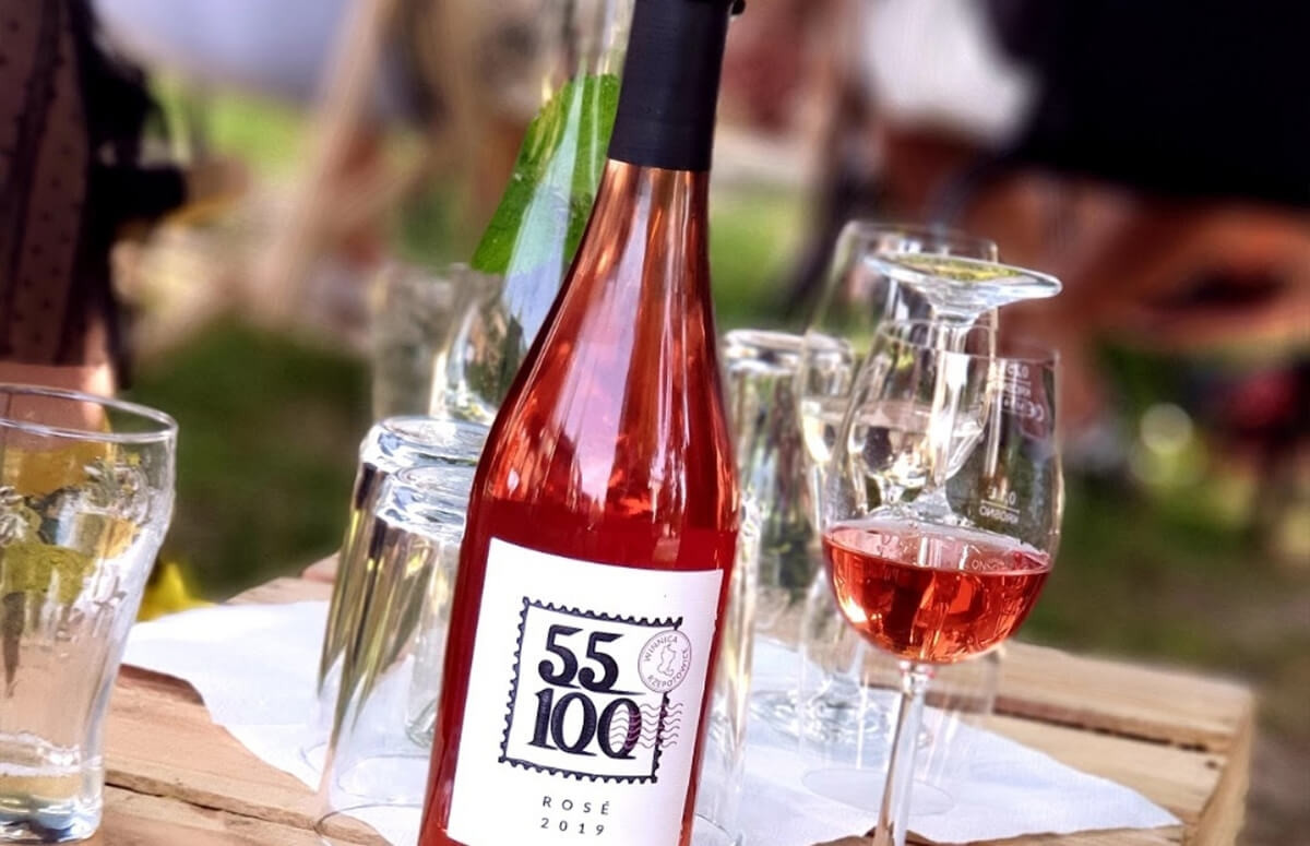 Zwiedzanie wnnicy na Wzgórzach Trzebnickich płączone ze smakowaniem lokalnie produkowanego wina