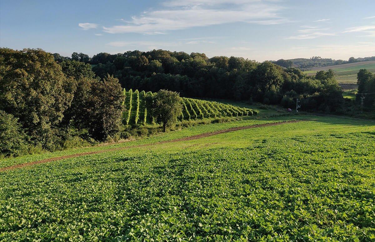 Zwiedzanie  - Wzgórza Trzebnickie 2