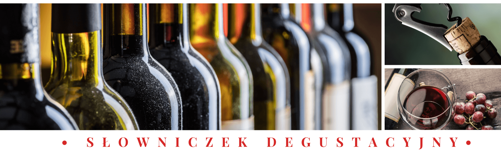 Degustacja wina - Terminy degustacyjne i słowniczek
