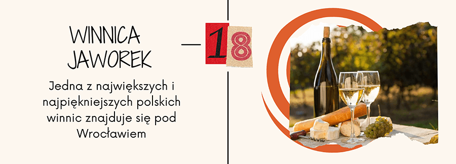 Winnica Jaworek - Zachwyć się urokiem podwrocławskiej winnicy