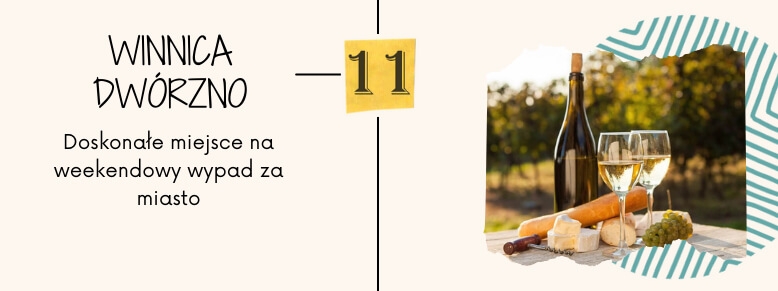 Ciekaw miejsca w okolicach Warszawy - Winnica Dwórzno