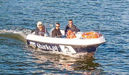 Rejsy - Wrocław - Sharks